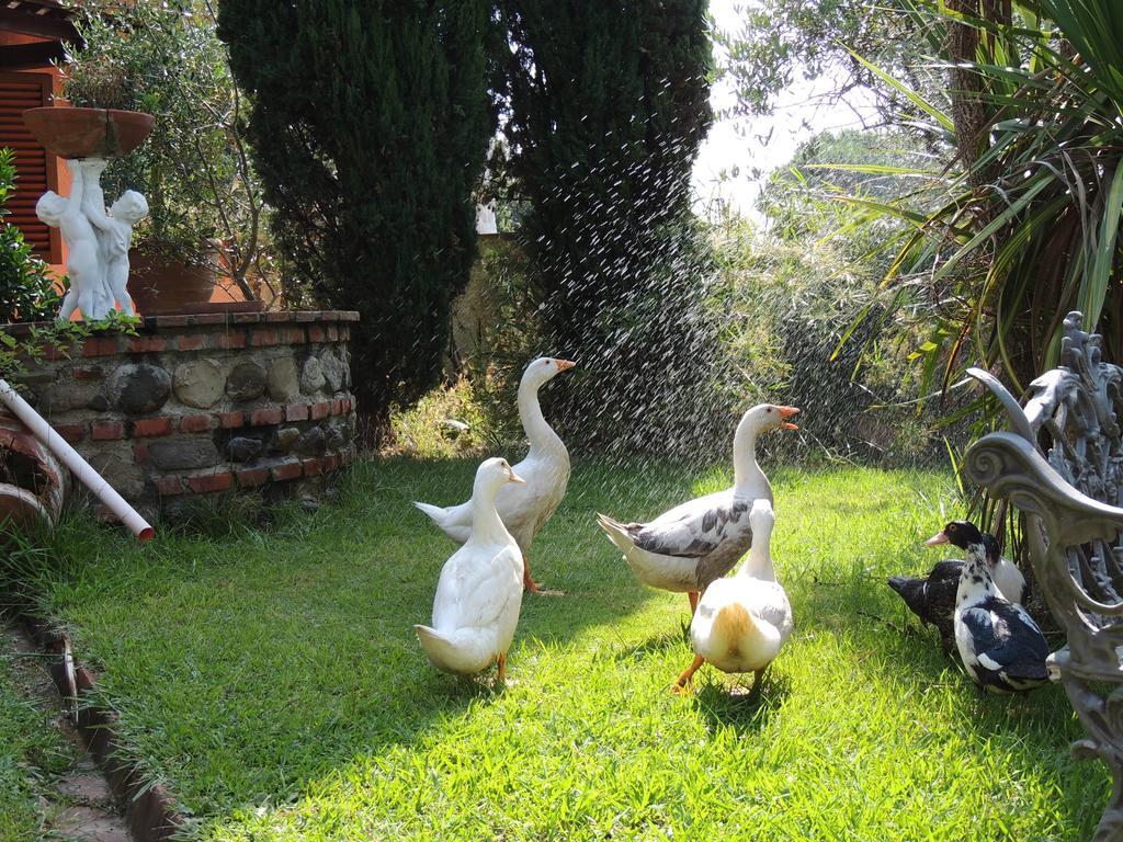Il Cipresso Del Gallo Montecatini Terme Ngoại thất bức ảnh